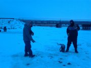 IMG_20120206_165855.jpg