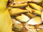 DSCN4393.JPG