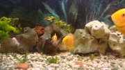 DSC08812.JPG