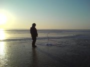 DSC00264.jpg