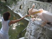 IMG_9495.jpg