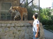 IMG_9509.JPG