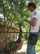 IMG_9534.jpg