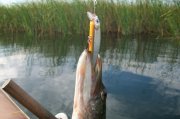 100_1629.jpg