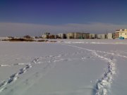 070220121614.jpg