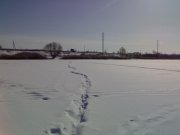 070220121615.jpg