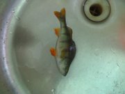 120220121617.jpg