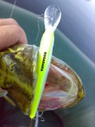 100820111013.jpg