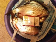 DSC04418.JPG