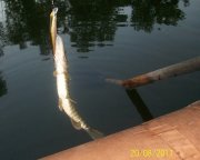 100_3147.jpg