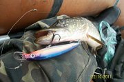 100_3359.jpg