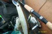 100_3265.jpg