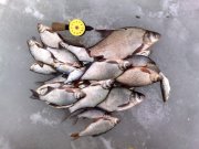 19022012684.jpg