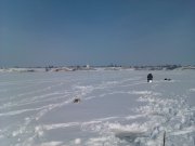 IMAG0024.jpg