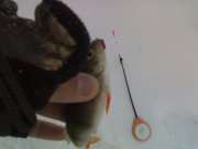 180220121619.jpg