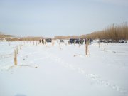 DSC06807.jpg