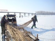 DSC06818.jpg