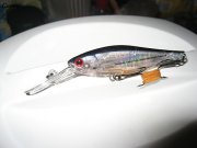 ZBL Shad 70SS.jpg