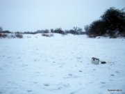1-IMG_0001.JPG
