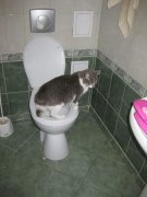 Изображение 003.jpg