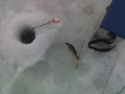 250220121638.jpg
