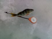 250220121641.jpg