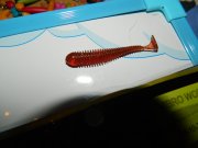 DSCN0618.jpg