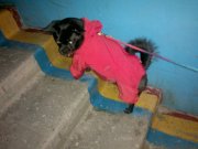 24022012024.jpg
