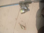 DSC05755.jpg