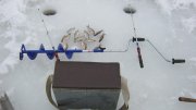 IMG_0652.jpg