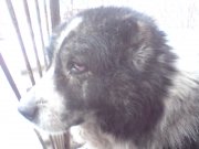 DSC00744.JPG