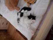 DSCN3140.jpg