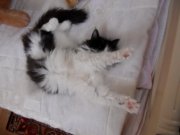 DSCN3141.jpg