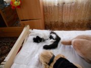 DSCN3142.jpg