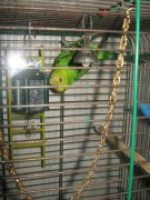 IMG_3196.jpg