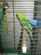 IMG_3198.jpg
