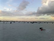 26022012286.jpg