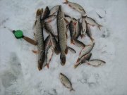 IMG_0772.JPG