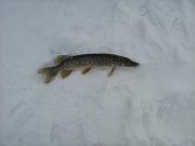 IMG_0770.JPG