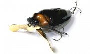 Water Bug Hotaru 381.jpg