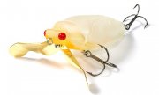 Water Bug June Bug.jpg