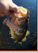 2012-02-28_220433.jpg
