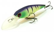 Bevy Shad 75SP-245 Mat Tiger.jpg
