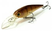 Bevy Shad.jpg