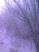 29-02-12_0621.jpg