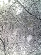 29-02-12_0711.jpg