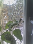 01-03-12_0910.jpg