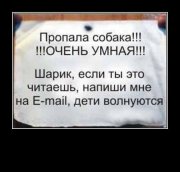 1296980390_715529-2010_03_02-10_21_36-sobaka.jpg