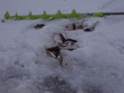 DSC04128.JPG