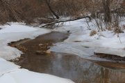 IMG_4892.jpg